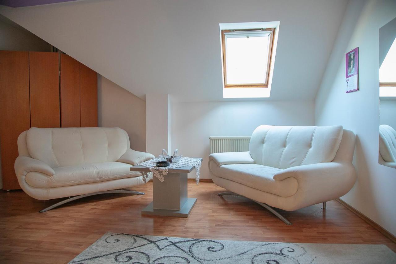 Appartement XXL-House à Târgu-Mureş Extérieur photo